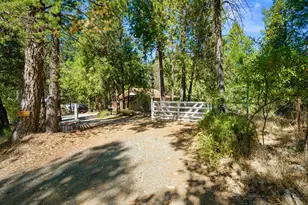 18960 Quail Run Ln, Fiddletown, CA 95629 - Photo 2
