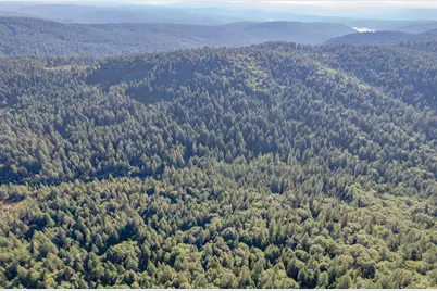 10466 N Slope Trail, Camptonville, CA 95922 - Photo 12