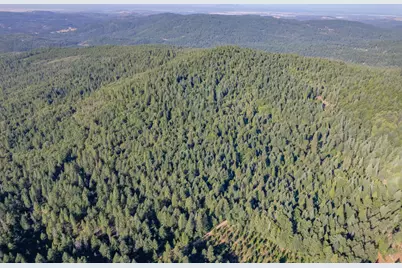 10466 N Slope Trail, Camptonville, CA 95922 - Photo 8