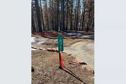 4962 Edgewood Circle, Grizzly Flats, CA 95636 - Photo 2