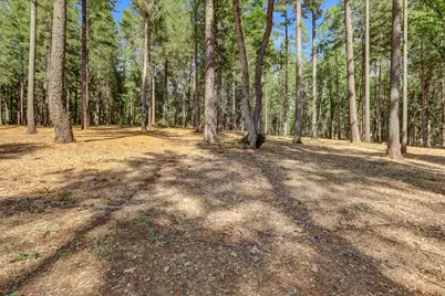 13821 Golden Lily Court, Grass Valley, CA 95945 - Photo 14