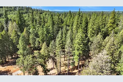 13821 Golden Lily Court, Grass Valley, CA 95945 - Photo 4