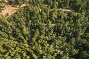 5987 Sweeney Rd, Somerset, CA 95684 - Photo 10