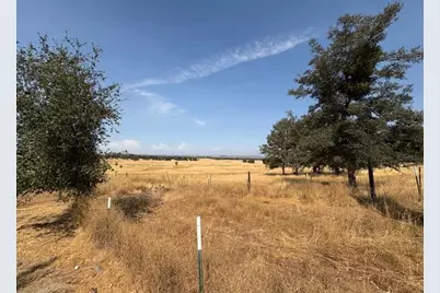 4620 Roadrunner Drive, Ione, CA 95640 - Photo 14