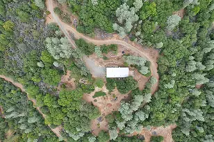 14818 Barberio Ln, Nevada City, CA 95959 - Photo 50