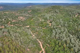 14818 Barberio Ln, Nevada City, CA 95959 - Photo 38