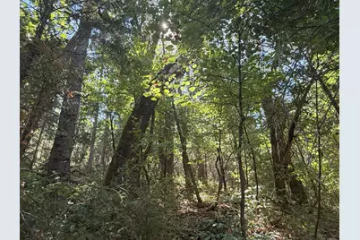 14742 Boquest Drive, Nevada City, CA 95959 - Photo 62