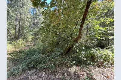 14742 Boquest Drive, Nevada City, CA 95959 - Photo 64