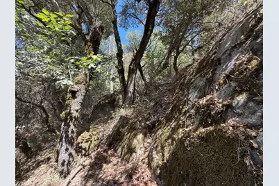 14742 Boquest Drive, Nevada City, CA 95959 - Photo 46