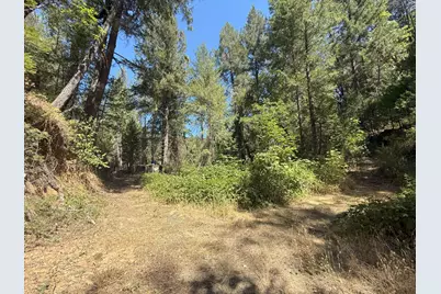 14742 Boquest Drive, Nevada City, CA 95959 - Photo 68