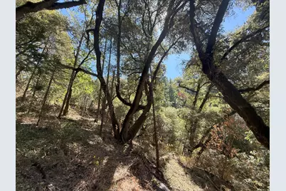 14742 Boquest Drive, Nevada City, CA 95959 - Photo 58