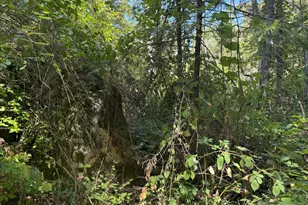 14742 Boquest Dr, Nevada City, CA 95959 - Photo 1