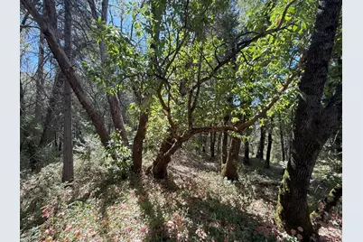 14742 Boquest Drive, Nevada City, CA 95959 - Photo 36