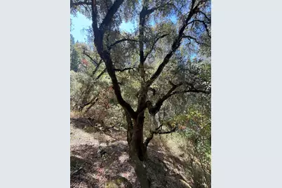 14742 Boquest Drive, Nevada City, CA 95959 - Photo 56