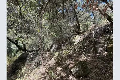 14742 Boquest Drive, Nevada City, CA 95959 - Photo 44