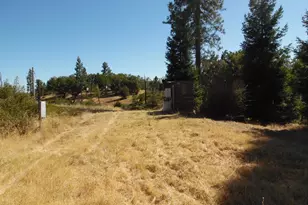 10006 Wendell Rd, Mountain Ranch, CA 95246 - Photo 14