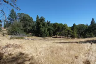 10006 Wendell Rd, Mountain Ranch, CA 95246 - Photo 8