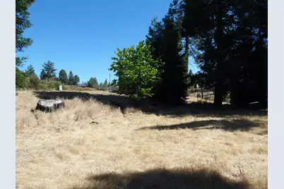 10006 Wendell Road, Mountain Ranch, CA 95246 - Photo 12