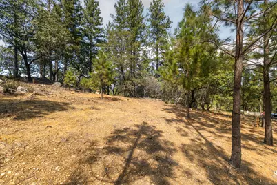 1621 The Point Road, Meadow Vista, CA 95722 - Photo 10