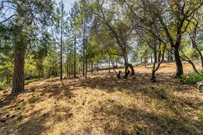 1621 The Point Road, Meadow Vista, CA 95722 - Photo 18