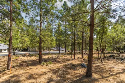1621 The Point Road, Meadow Vista, CA 95722 - Photo 6