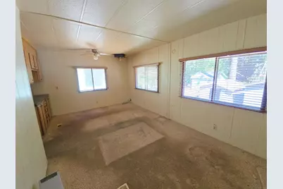 Carson #39, Pioneer, CA 95666 - Photo 6