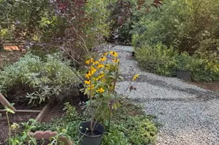 59 Kirkwood Way, Clipper Mills, CA 95930 - Photo 20