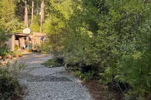 59 Kirkwood Way, Clipper Mills, CA 95930 - Photo 14