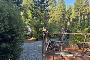 59 Kirkwood Way, Clipper Mills, CA 95930 - Photo 10