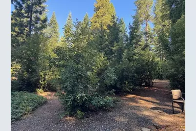 59 Kirkwood Way, Clipper Mills, CA 95930 - Photo 6