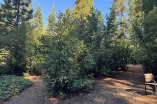 59 Kirkwood Way, Clipper Mills, CA 95930 - Photo 6