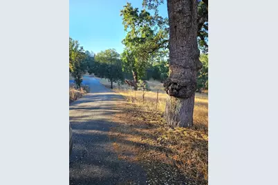 0 Trails End Drive, Placerville, CA 95667 - Photo 12