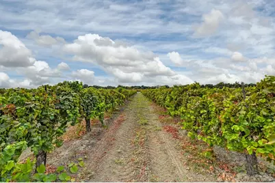 52929 County Road 141, Clarksburg, CA 95612 - Photo 42