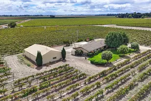 52929 Co Rd 141, Clarksburg, CA 95612 - Photo 56