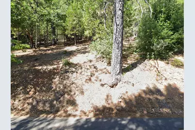 16704 New York House Road, Brownsville, CA 95919 - Photo 6