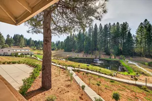 [Address not provided], Camino, CA 95709 - Photo 30