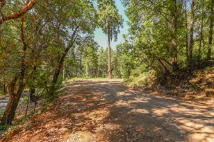 16320 Pioneer Creek Rd, Pioneer, CA 95666 - Photo 58