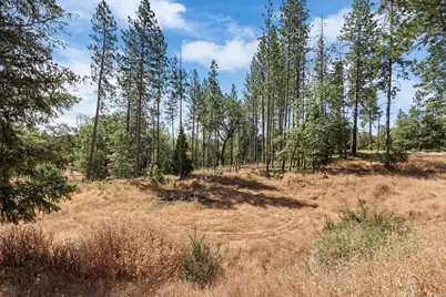 402 Rabbits Foot Road, West Point, CA 95255 - Photo 38