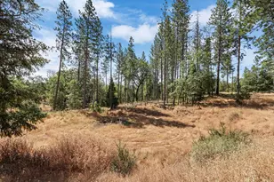 402 Rabbit's Foot Rd, West Point, CA 95255 - Photo 38