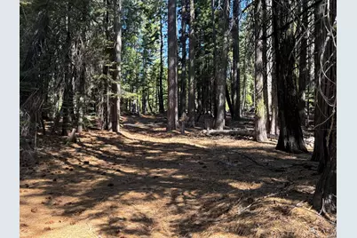 13325 Serpentine Way, Nevada City, CA 95959 - Photo 1