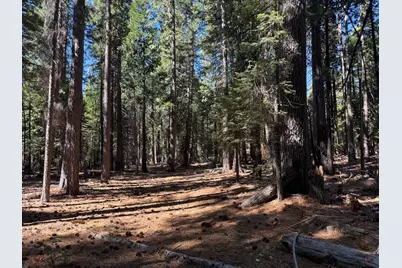 13325 Serpentine Way, Nevada City, CA 95959 - Photo 12