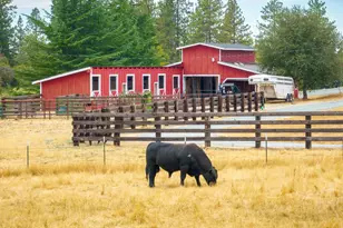 6340 Grizzly Flat Rd, Somerset, CA 95684 - Photo 52