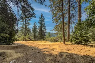 19074 Pine Dr, Pioneer, CA 95666 - Photo 1