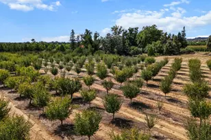 18525 Emerson, Red Bluff, CA 96080 - Photo 62