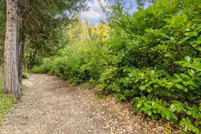 10623 Yearling Road, Nevada City, CA 95959 - Photo 34