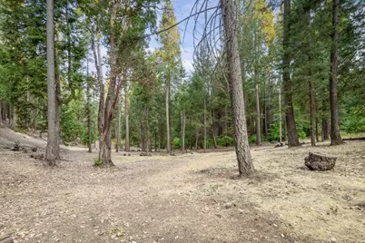 10623 Yearling Road, Nevada City, CA 95959 - Photo 42
