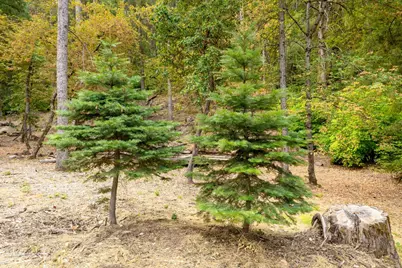 10623 Yearling Road, Nevada City, CA 95959 - Photo 46
