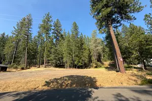 16970 Old Downieville Hwy, Nevada City, CA 95959 - Photo 1