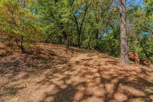 16300 Rossbridge Rd, Jackson, CA 95642 - Photo 8