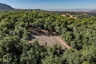 16300 Rossbridge Rd, Jackson, CA 95642 - Photo 14